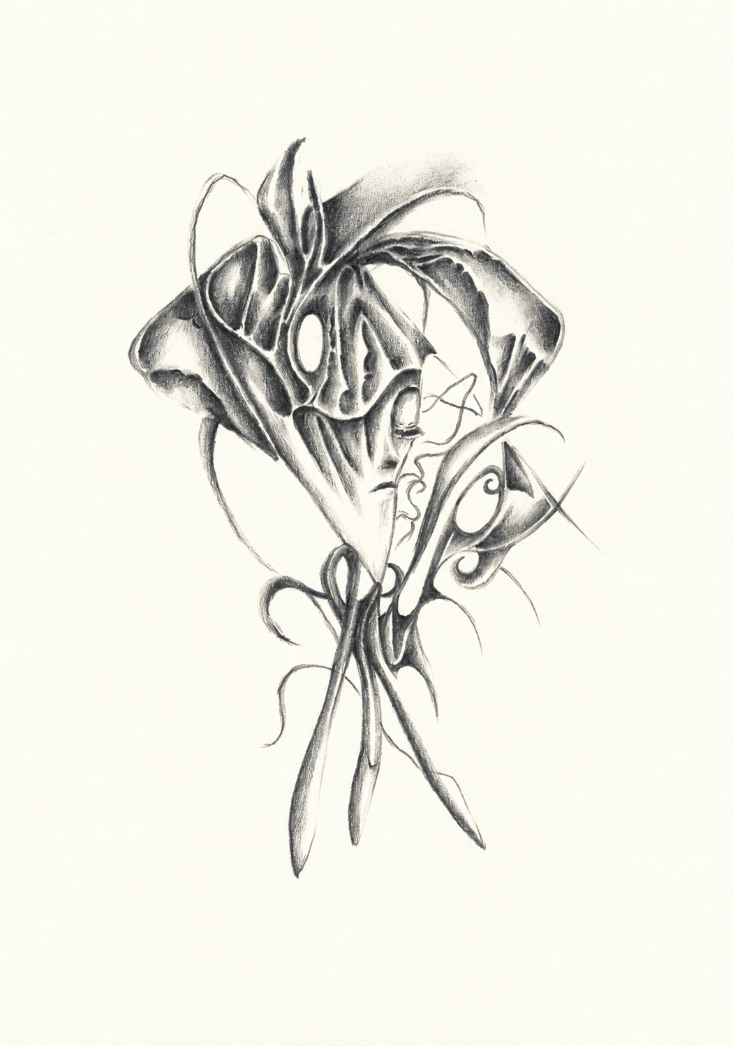 The First Edition intuitive pencil drawing
